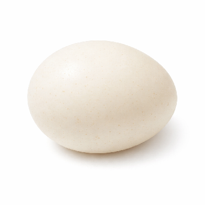 Egg goose whole fresh raw