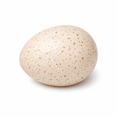Egg turkey whole fresh raw