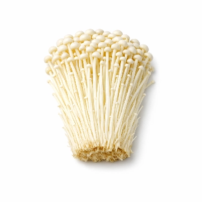 Mushrooms enoki raw