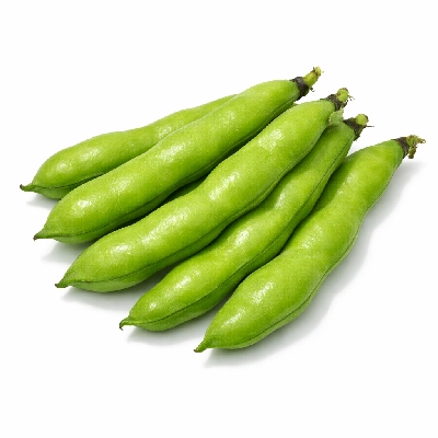 Beans fava in pod raw