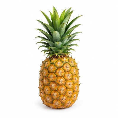 Fire Mountain Fresh Fruit Pineapple