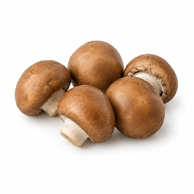 Fire Mountain Mushrooms