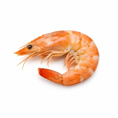 Fire Mountain Peel & Eat Shrimp