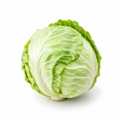 Fire Mountain Sides Green Cabbage