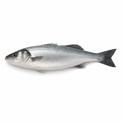 Fish bass fresh water mixed species raw