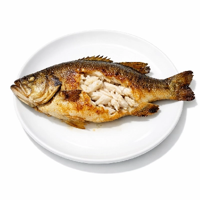 Fish bass freshwater mixed species cooked dry heat