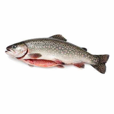 Fish trout brook raw new york state