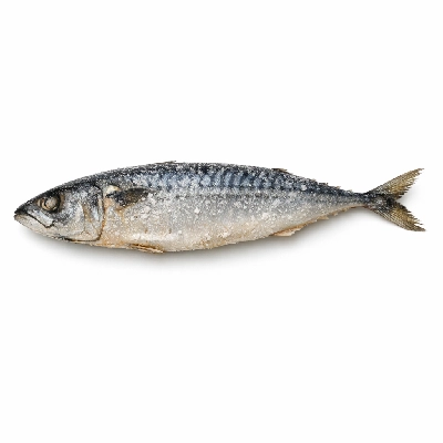 Fish mackerel salted