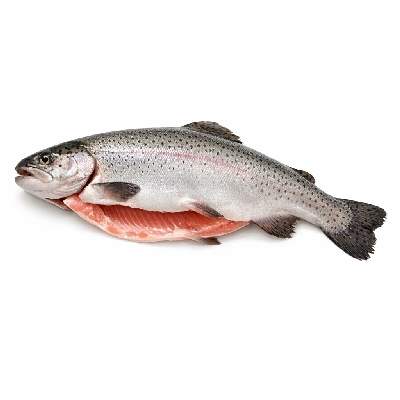 Fish trout rainbow wild raw