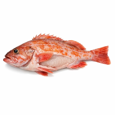 Fish rockfish pacific mixed species raw