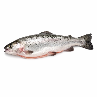 Fish trout mixed species raw