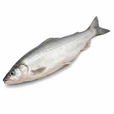 Fish whitefish mixed species raw