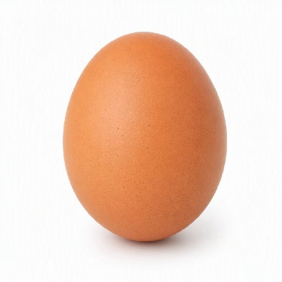 FRESHdirect Nature's Yoke Organic Free-Range Large Brown Eggs