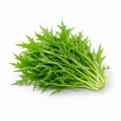 FRESHdirect Satur Farms Vegetables Lettuce Mizuna Pack