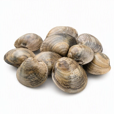 FRESHdirect Seafood Clams Wild Local Cherrystone