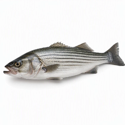 FRESHdirect Seafood Whole Fish Striped Bass