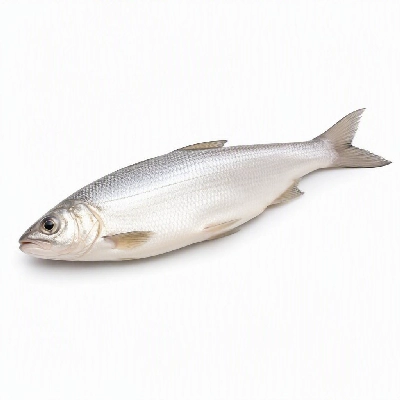 FRESHdirect Seafood Whole Fish Whitefish