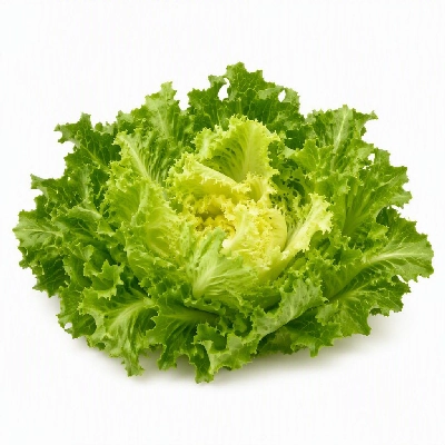 FRESHdirect Vegetables Leafy Greens Escarole