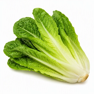 FRESHdirect Vegetables Lettuce Romaine