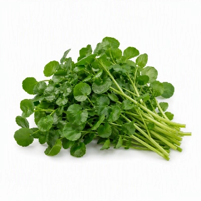 FRESHdirect Vegetables Lettuce Watercress