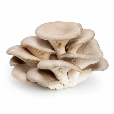 FRESHdirect Vegetables Mushrooms Oyster