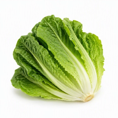 FRESHdirect Vegetables Packaged Salad Mixes Classic Romaine