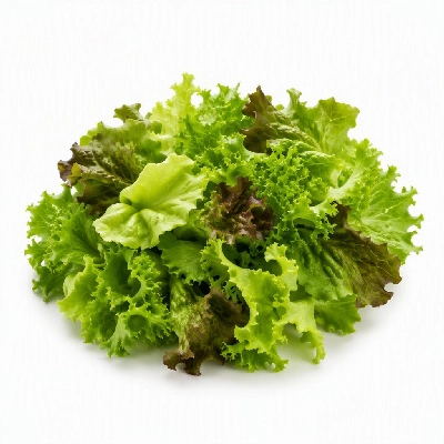 FRESHdirect Vegetables Packaged Salad Mixes Lettuce