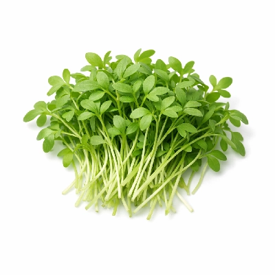 Garden cress raw