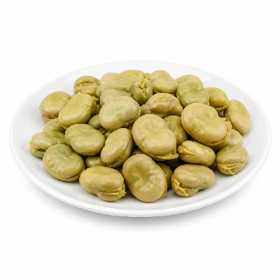 General Mills Progresso Beans Fava