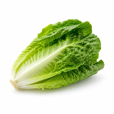 Golden Corral Salad Buffet Romaine Lettuce