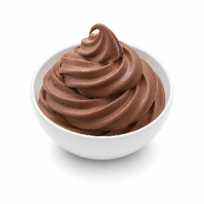 Golden Spoon Non-Fat Belgian Chocolate Frozen Yogurt