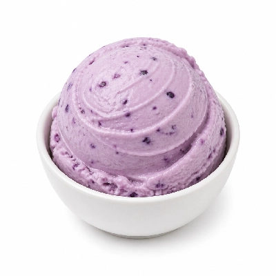 Golden Spoon Non-Fat Fresh Blueberry Frozen Yogurt