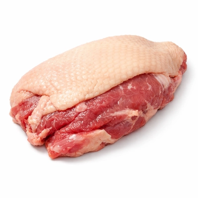 Goose meat and skin raw