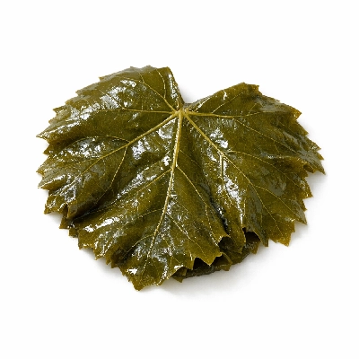 Grape leaves canned
