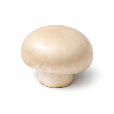 Hameesat Mushroom UAE