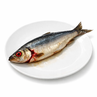 Herring Atlantic cooked dry heat