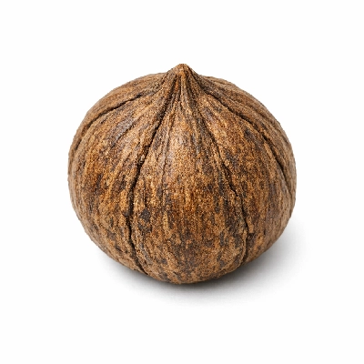 Nuts hickorynuts dried