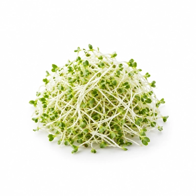 Iron Skillet Alfalfa Sprouts