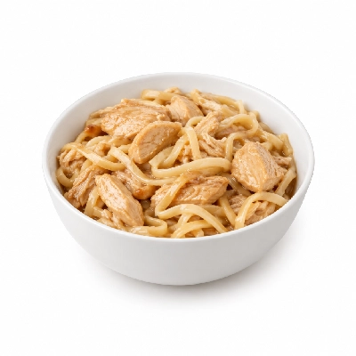 Iron Skillet Chicken and Noodles (TA)