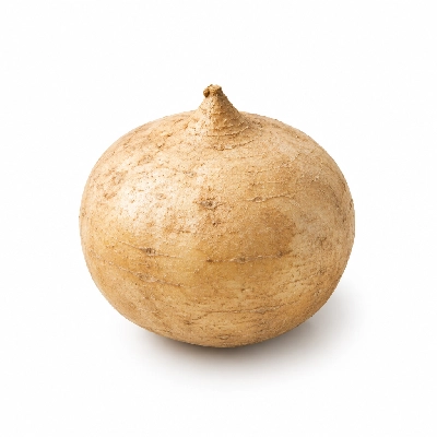 Iron Skillet Jicama Root