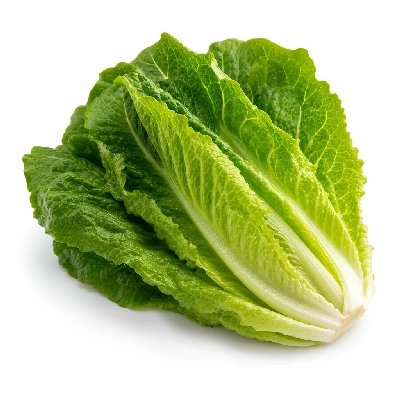 K&W Cafeterias Dressings Romaine