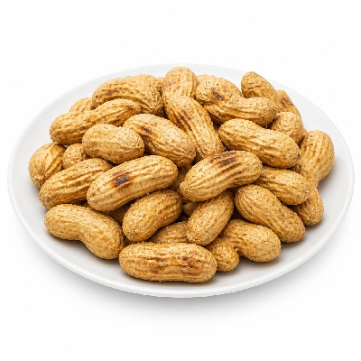 Kraft Planters Peanuts Roasted in Shell Salted 100 Years