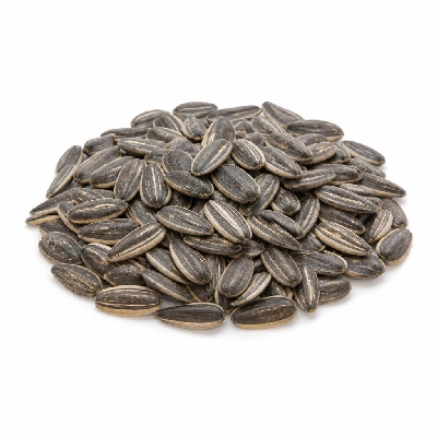 Kraft Planters Roasted & Salted Sunflower Seeds