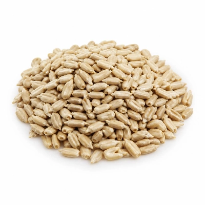 Kraft Planters Sunflower Kernels