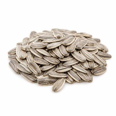 Kraft Planters Sunflower Seeds Roasted & Salted 2.25 Oz