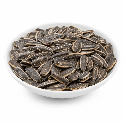 Kraft Planters Sunflower Seeds Roasted & Salted Big Bag