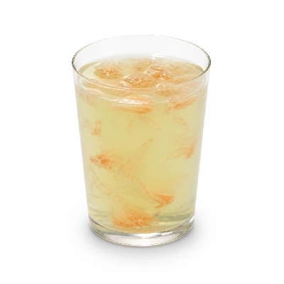 Kung Fu Tea Grapefruit Green Tea Medium 30%