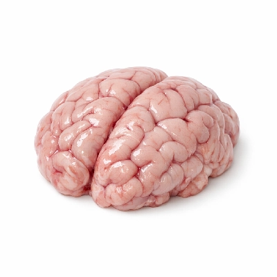 Lamb variety meats and by-products brain raw