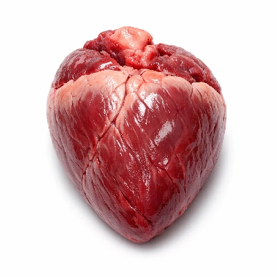 Lamb variety meats and by-products heart raw