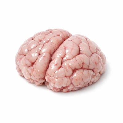 Lamb veal & game new zealand imported brains raw